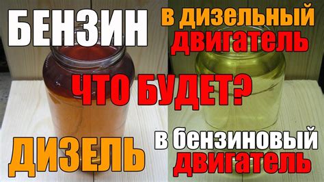 Агрессия дизельного топлива: последствия для пернатых