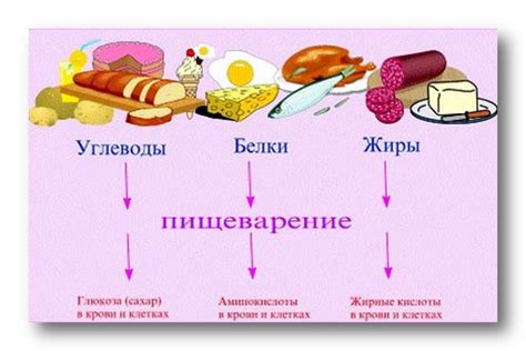 Агрокультуры и питательные вещества