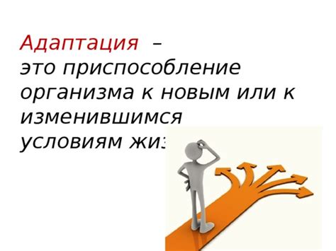 Адаптация к изменяющимся условиям среды