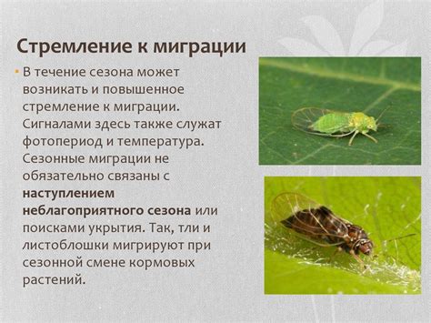 Адаптация к природе