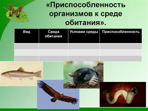 Адаптация к среде обитания