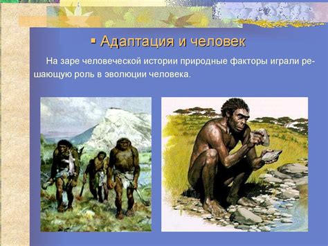 Адаптация к условиям среды