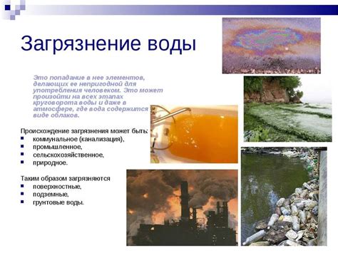 Алгициды как причина расцветки воды