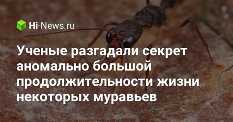 Аномально большой размер