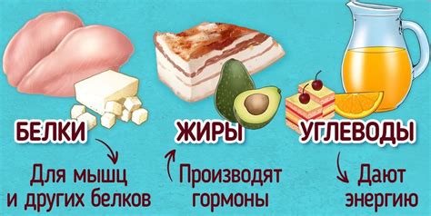 Белки, жиры и углеводы в тушеной капусте с говядиной