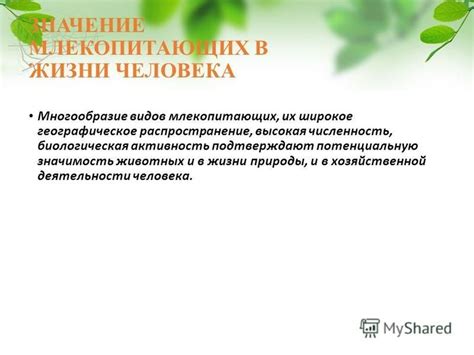 Биологическая природа млекопитающих