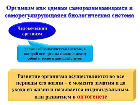 Биологические адаптации