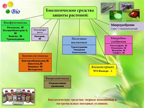 Биологические механизмы ароматической защиты цветов