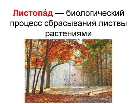 Биологический процесс цветения