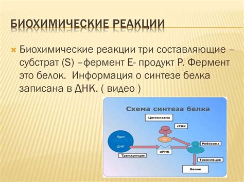 Биохимические реакции