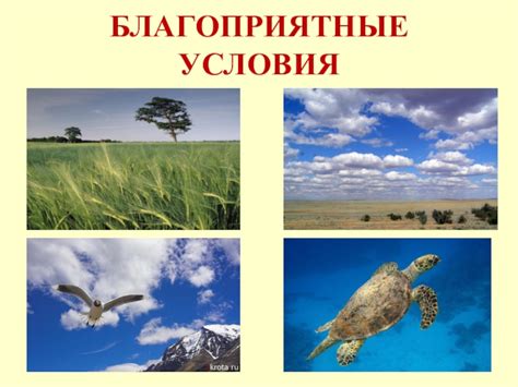 Благоприятные экологические условия