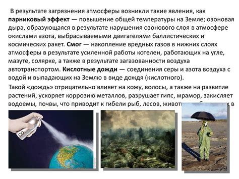 Бобры и их влияние на окружающую среду