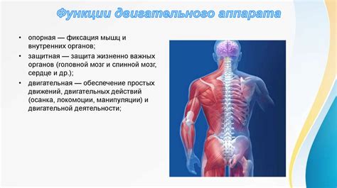 Большая нагрузка на неразвитый опорно-двигательный аппарат