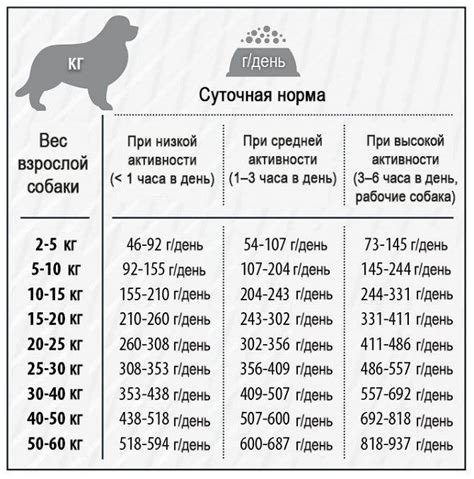 Важность набора веса у щенка