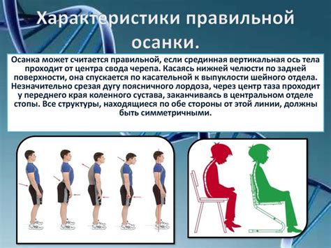 Важность осанки для рыцаря
