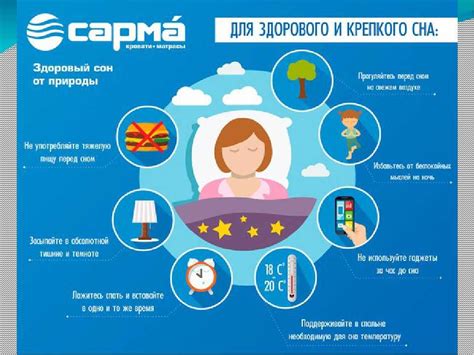 Важность режима сна для здоровья котёнка