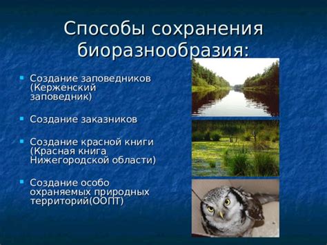 Важность сохранения охраняемых плаунов