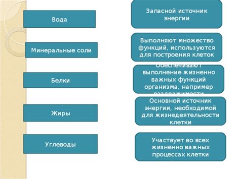 Важность pH для жизнедеятельности клетки