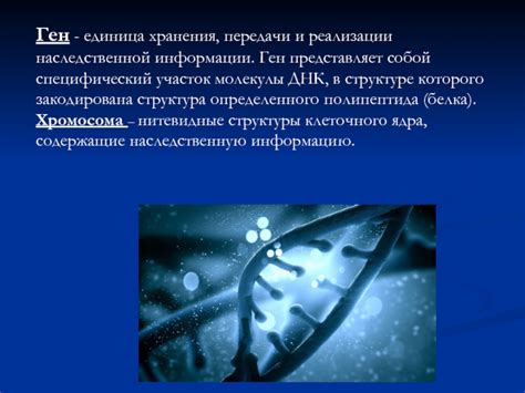 Взаимосвязь реализации и способов передачи наследственной информации