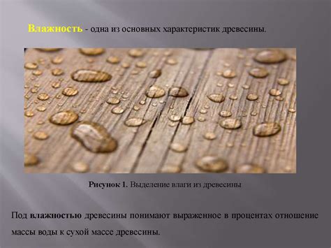 Влажность и сухость дерева