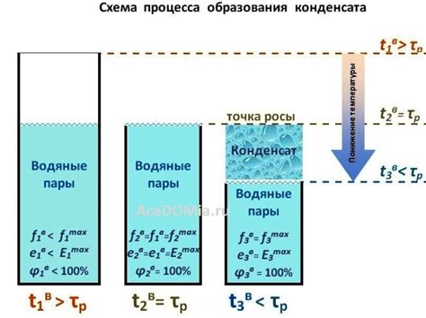 Влияние влажности на образование конденсата в коптильне
