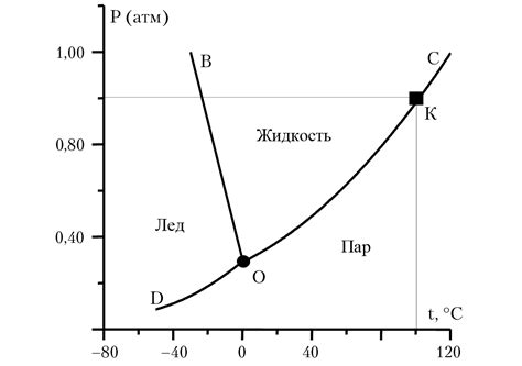 Влияние воды и температуры на макароны