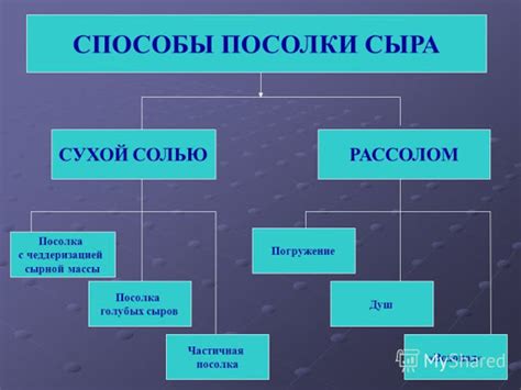 Влияние времени соления