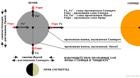 Влияние гравитации на размер Луны