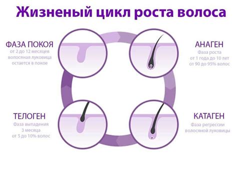 Влияние заболеваний на рост волос на боках головы