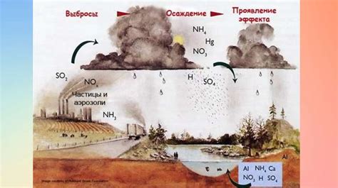 Влияние кислотности на текучесть сметаны