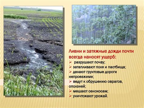 Влияние климата и географии