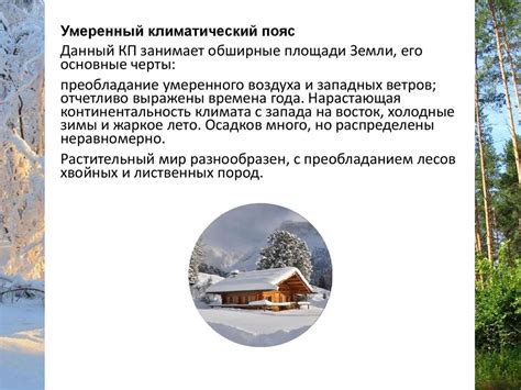 Влияние климатических зон на осеннюю солнечную светимость