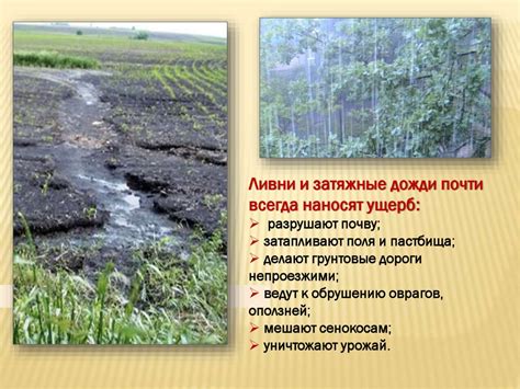 Влияние климатических условий на название продуктов