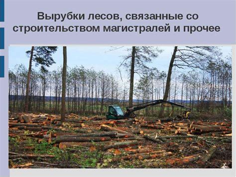 Влияние мороза на природу