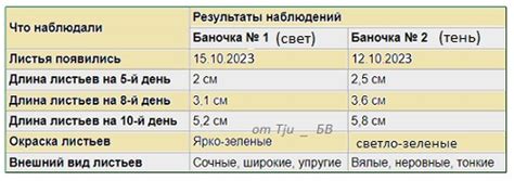 Влияние на развитие