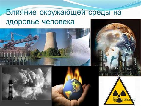 Влияние окружающей среды