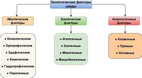 Влияние окружающей среды: температура и ее роль в изменении цвета кожи