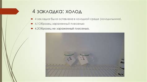 Влияние окружающей среды на образование плесени
