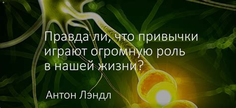 Влияние привычек и привязанностей на повторные встречи