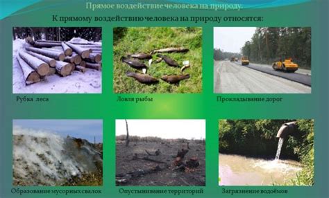 Влияние природы