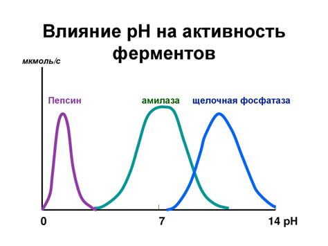 Влияние рН на окраску мяса