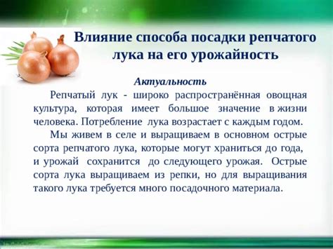 Влияние сорта лука на расчеты