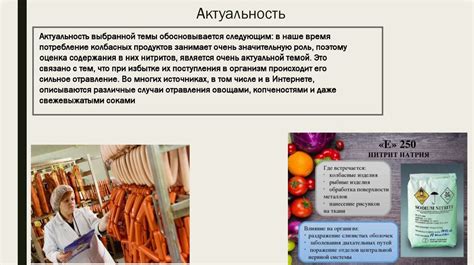 Влияние состава и качества колбасной оболочки