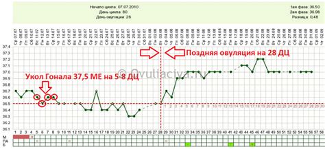 Влияние стимуляции гоналом на фолликулы