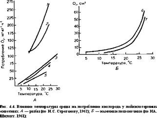 Влияние температуры на процессы в молоке