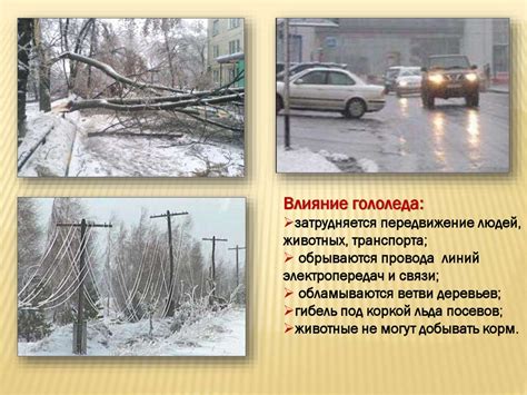 Влияние условий на развитие мальков