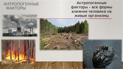 Влияние экологических факторов на амуров