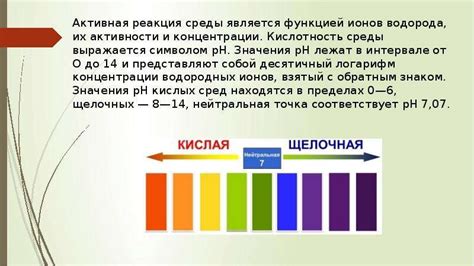 Влияние pH на процесс зеленения чеснока