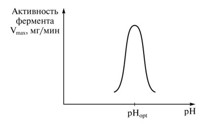 Влияние pH на ферментативную активность