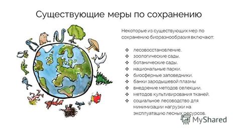 Внедрение мер по сохранению